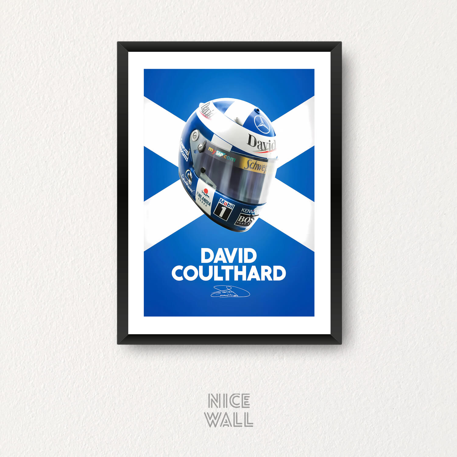 Cuadro David Coulthard Casco