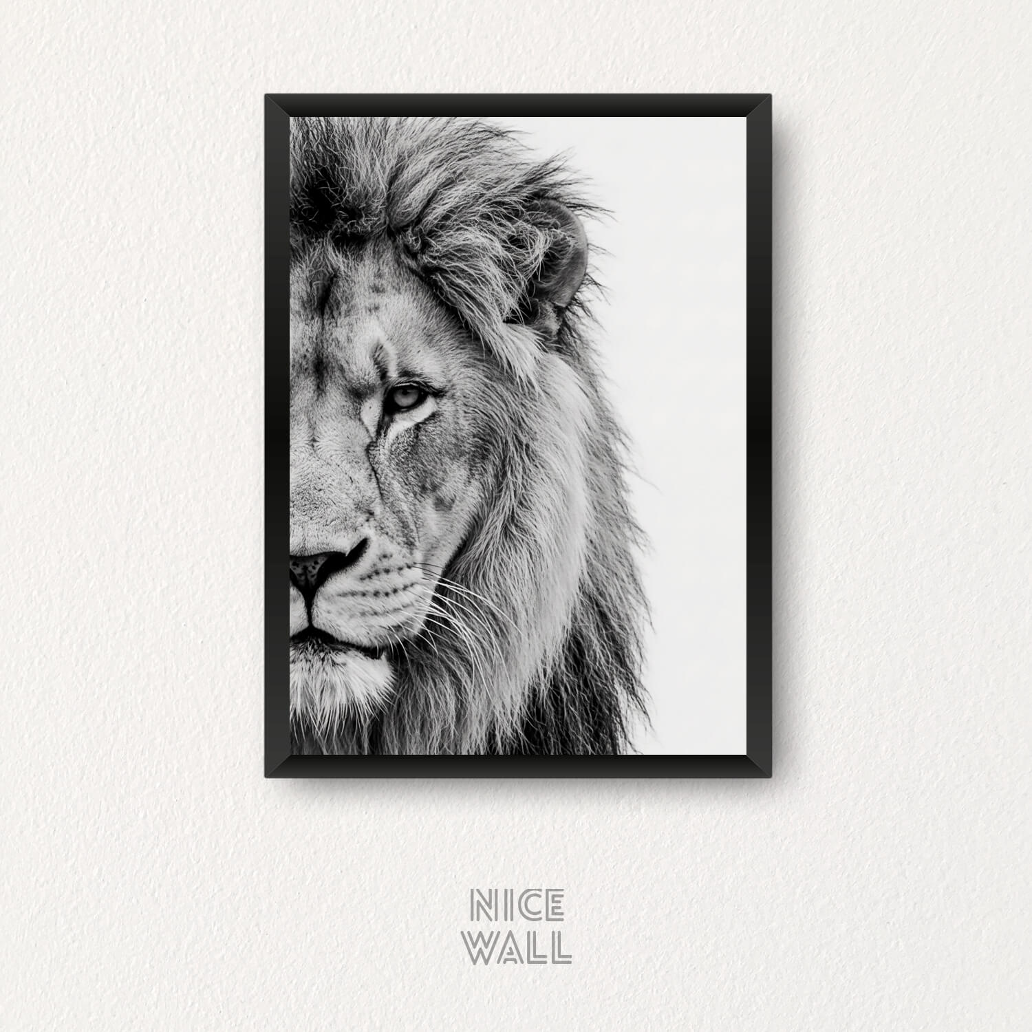 Cuadro León Blanco & Negro