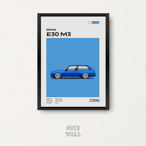 Cuadro BMW E30 M3 1986