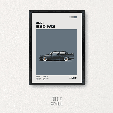 Cuadro BMW E30 M3 1986 Gris