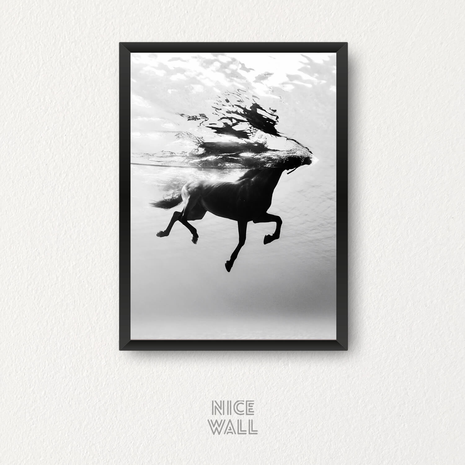 Cuadro Decorativo Retela Caballo BN 70 x 50 cm