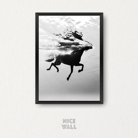 Cuadro Caballo Nadando