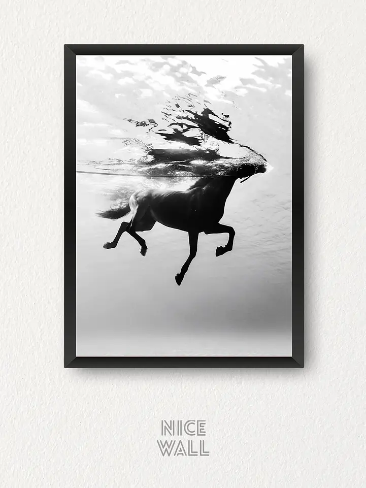 Cuadro Caballo Nadando 1