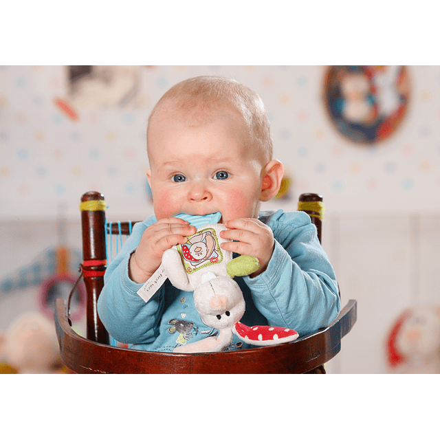 Rabbit Plush with Teether