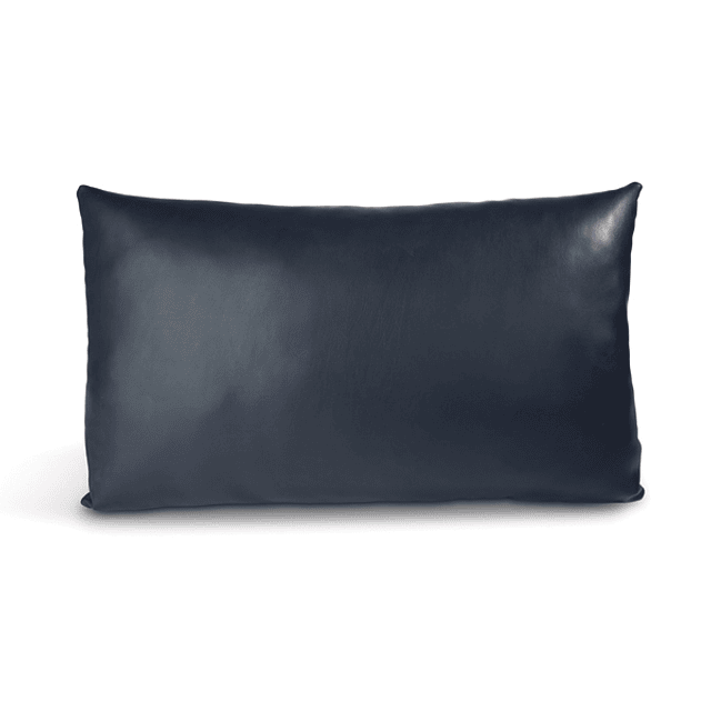 Toucan Rectangular Cushion