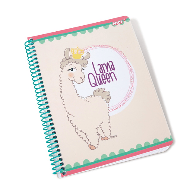 Llama Notebook with Spiral