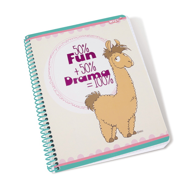 Llama Notebook with Spiral 