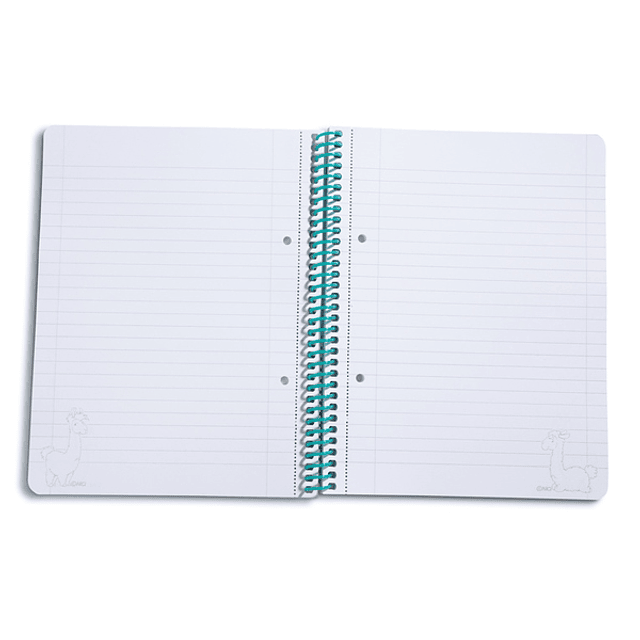 Cuaderno con espiral de barro