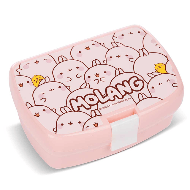 Molang lunch box