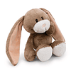 My First Friend | Peluche Urso Finni, 20cm c/caixa gift