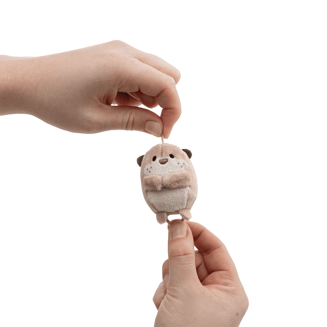 Mymochi Spring | Lontra Jiro, 5cm c/ header