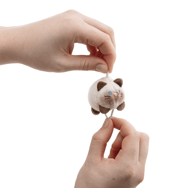 Mymochi Spring | Gato Siamy deitado, 5cm c/ header