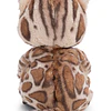 Sleeping Pets | Gato-de-bengala em cesto verde, 12cm