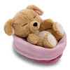 Sleeping Pets | Cão bege em cesto rosa, 12cm