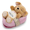 Sleeping Pets | Cão bege em cesto rosa, 12cm