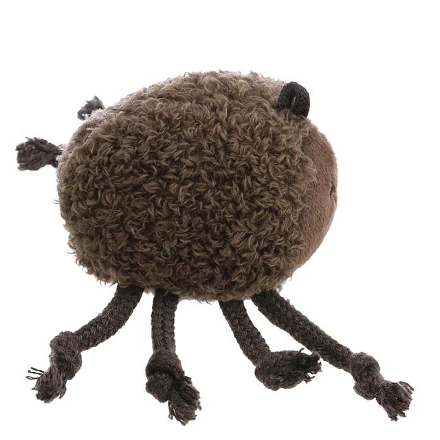 Mymochi Cosy Creepers | Aranha Ashi, 5cm c/ header