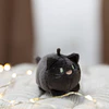 Mymochi Cosy Creepers | Gato Darky, 5cm c/ header