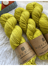 Merino Superwash DK - Pistacho