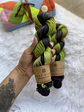 Merino Superwash DK - Contracara - Miniatura 1