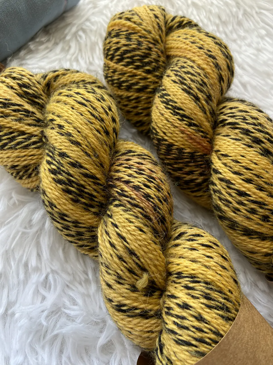 Merino Zebra - Calabaza 3