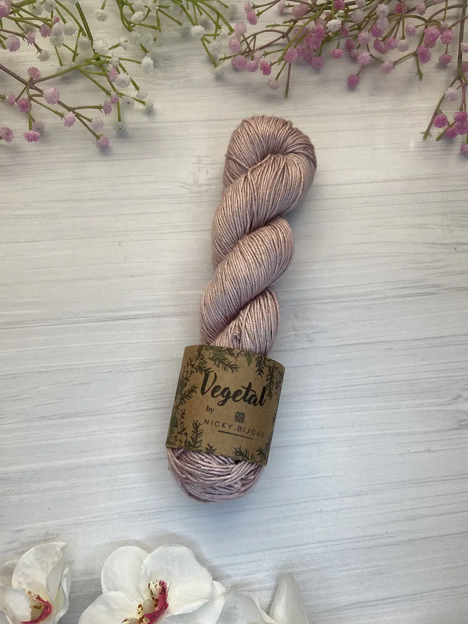 Caña de Azúcar  1
