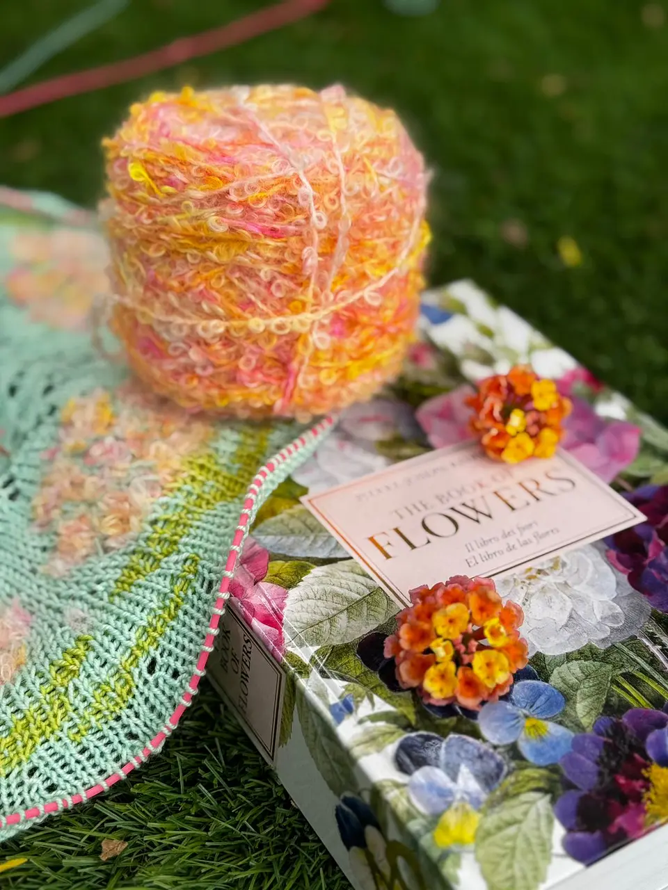 Kit Sweater Lantana 2 2