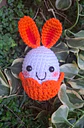 Taller Conejihuevo - Amigurumi - Miniatura 4