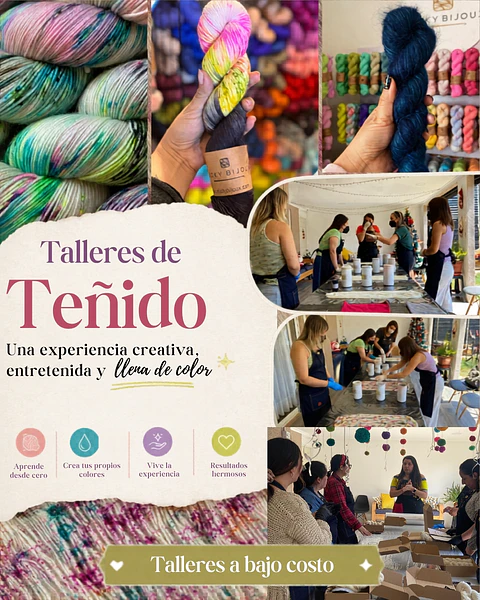 Taller de Teñido -  Santiago - Sábado 13 de Junio 2026 AM 