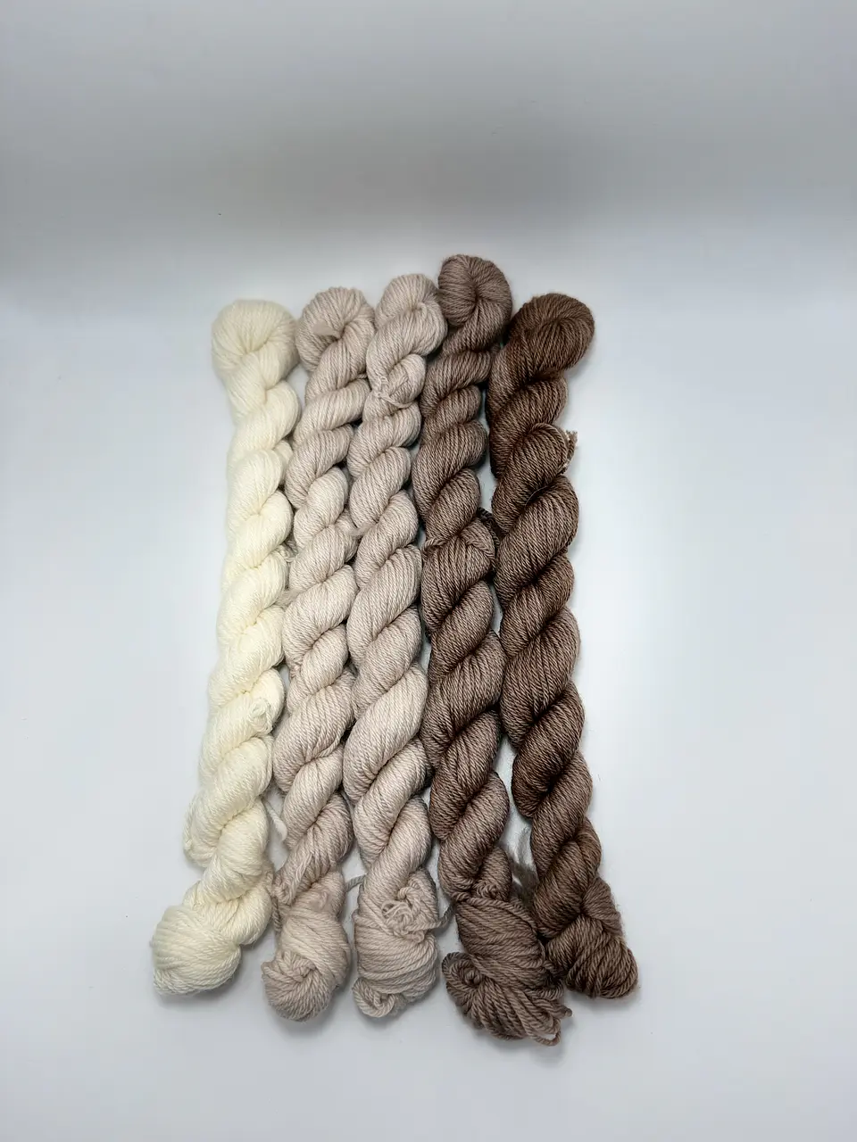 (5) Mini Bijoux - color: Coffee 2