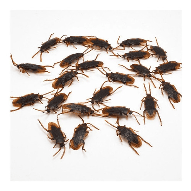 Adorno Halloween Cucarachas 2