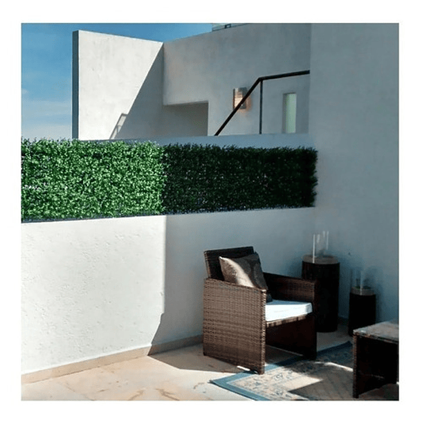 Malla Tréboles Vallas Cercas Pasto Planta Enredadera Hojas  7