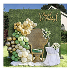 Malla Tréboles Vallas Cercas Pasto Planta Enredadera Hojas  3