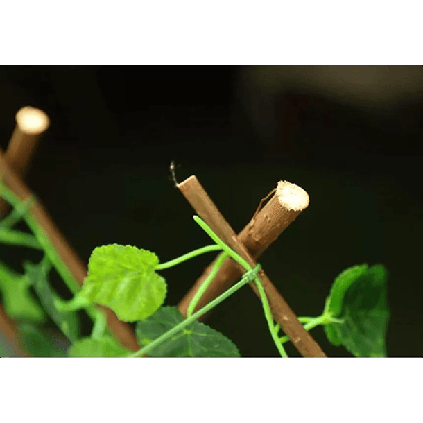 Enredadera Malla  Artificial Enrejado Madera Estirable 70cm 2