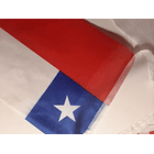 Guirnaldas Banderas Chilenas Fiestas Patrias 20x28 Cm 4