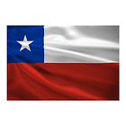 Bandera Chilena 90x150 Cm 1
