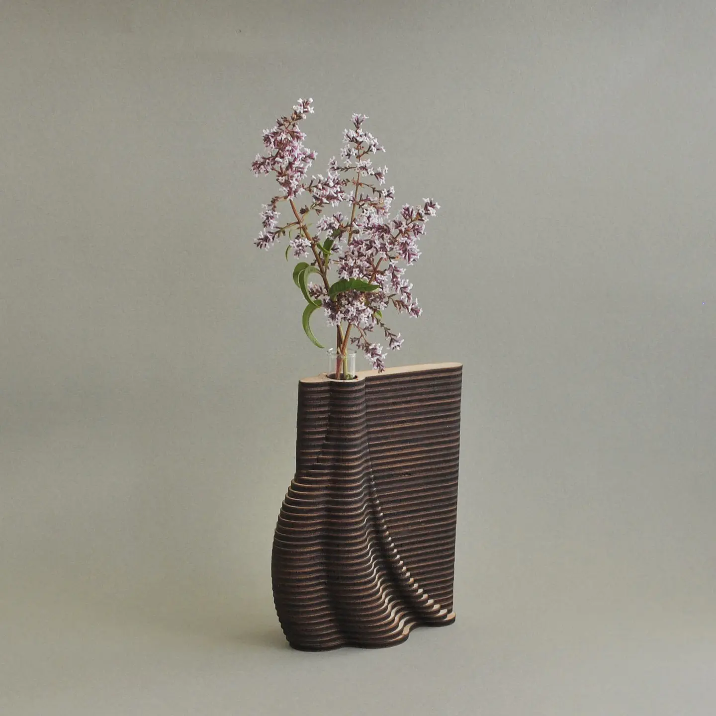 Florero Brote III 1