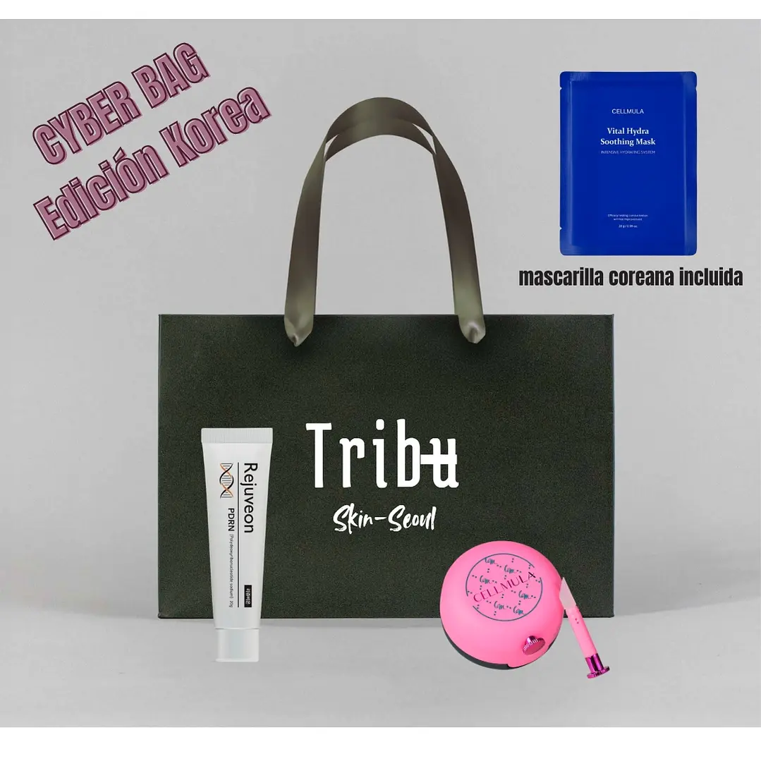 Cyber Bag edición Korea 1