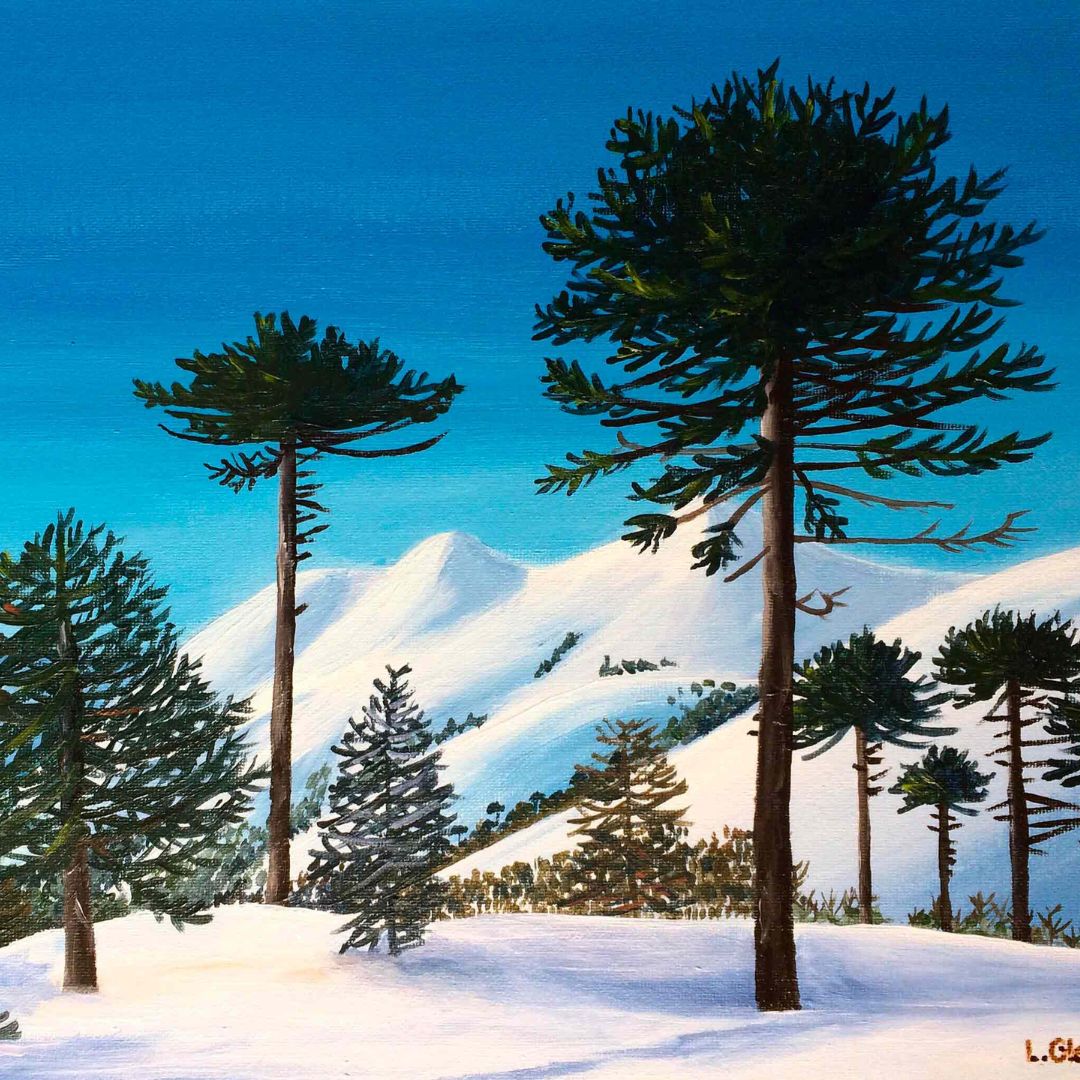 Araucarias Milenarias