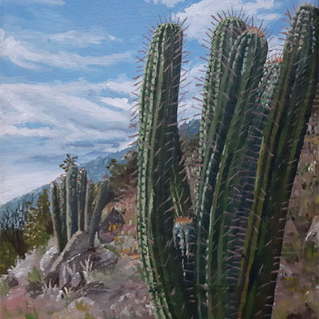 Cactus de la R.M.