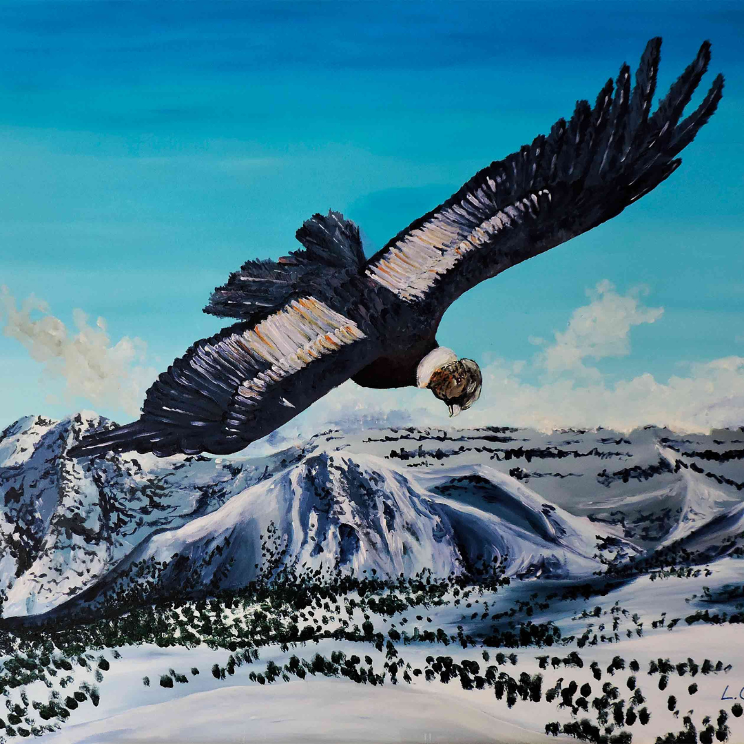 Vuelo de Cóndor