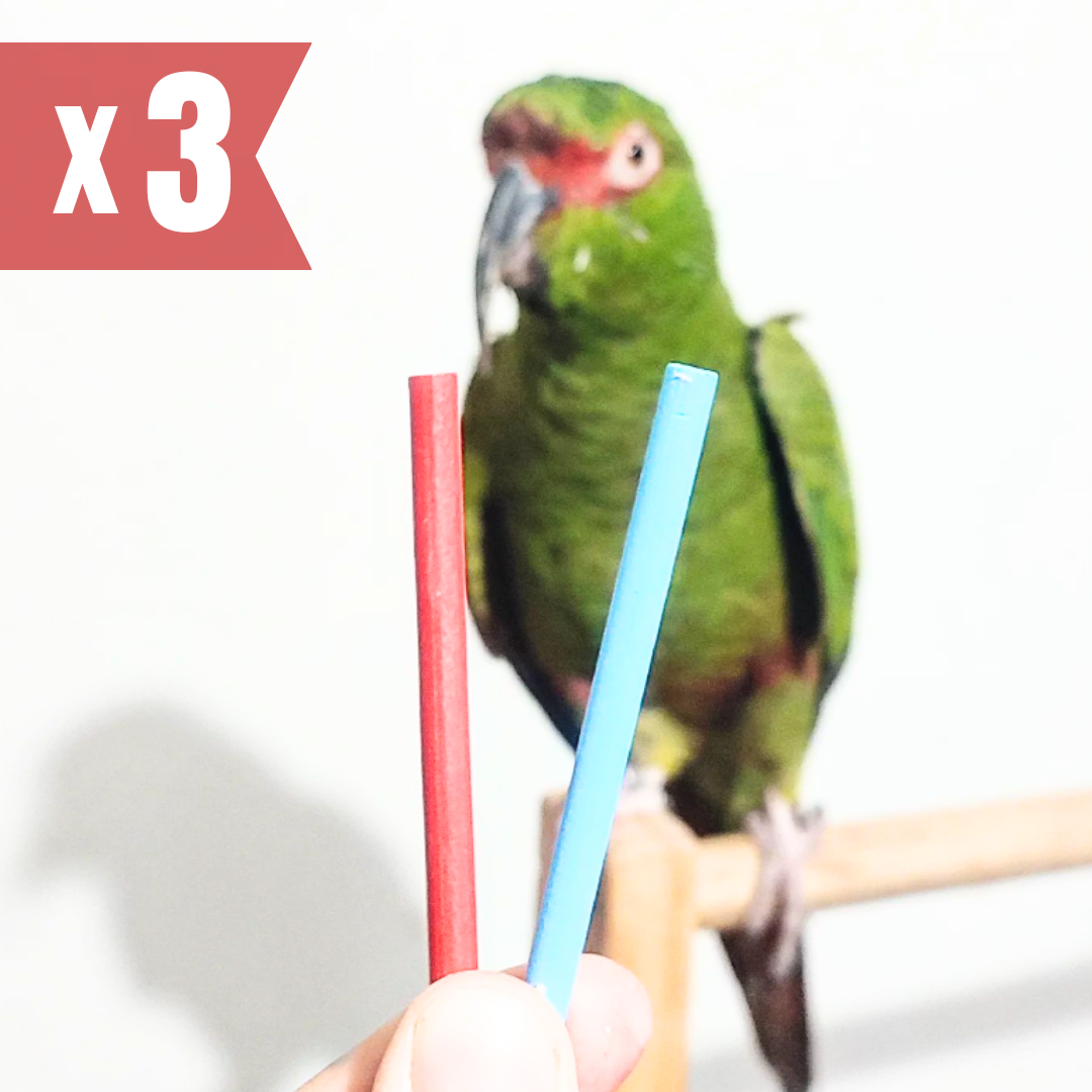 Asesoría Bienestar Psitácidas (Loros) Online x3