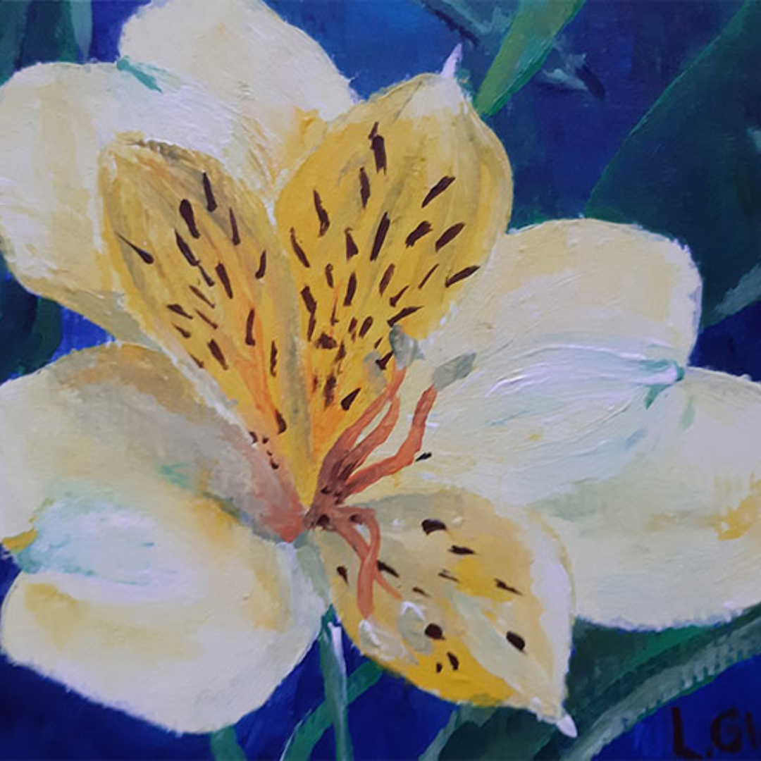 Alstroemeria