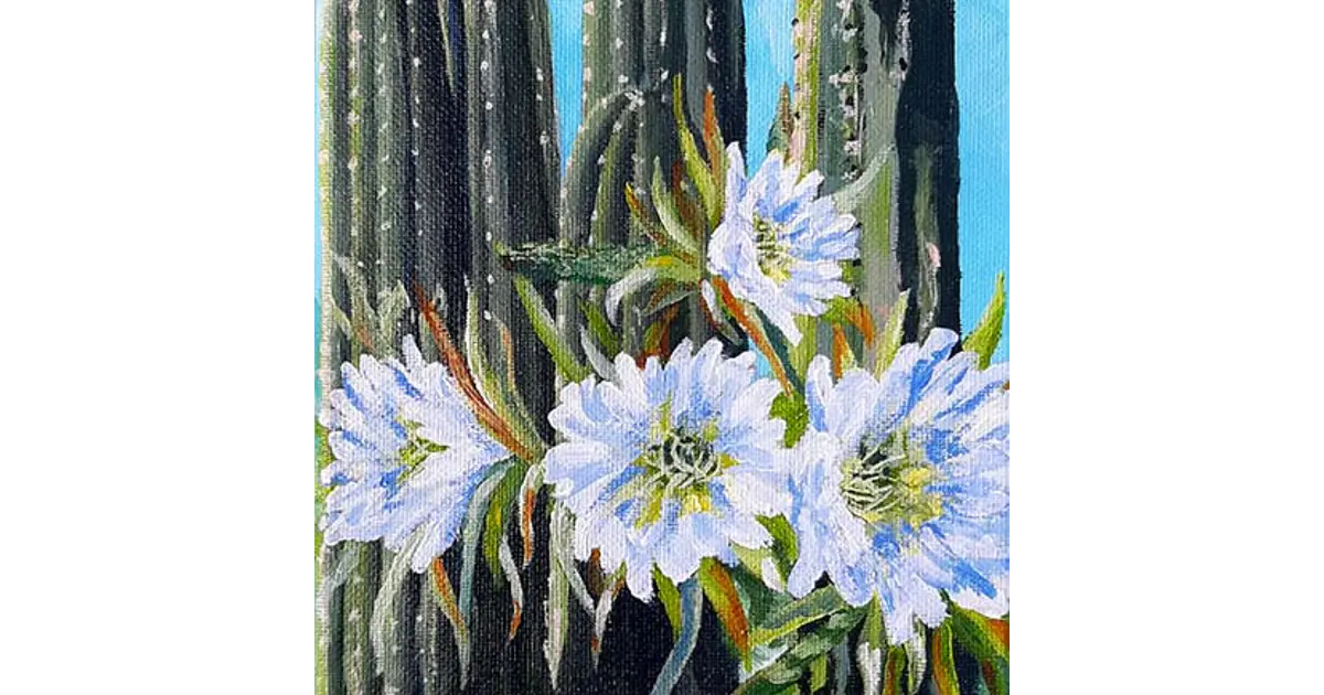 Cactus floreciendo