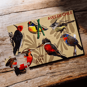 Puzzle Aves de Chile para niños 36 piezas