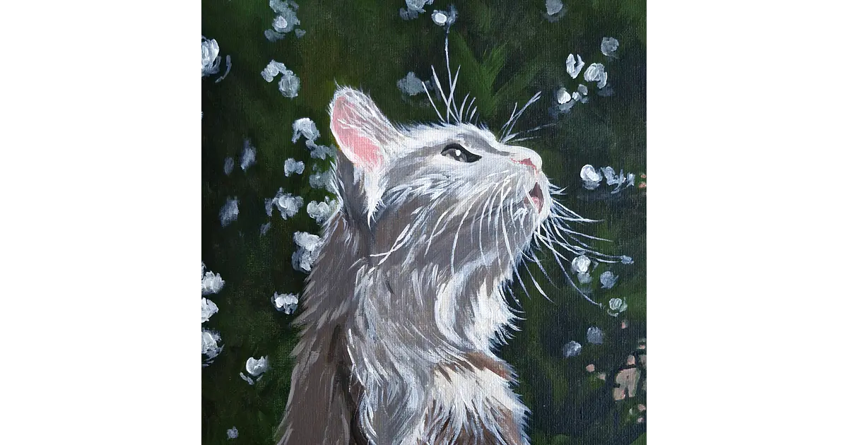 Gato