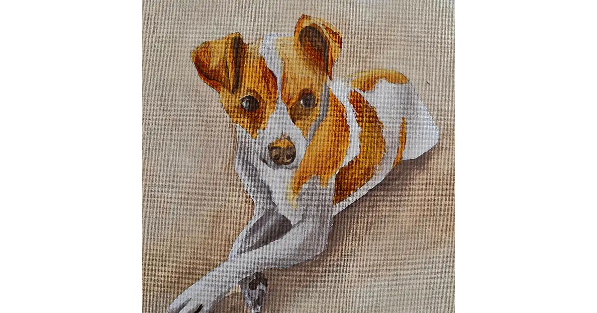 Perro