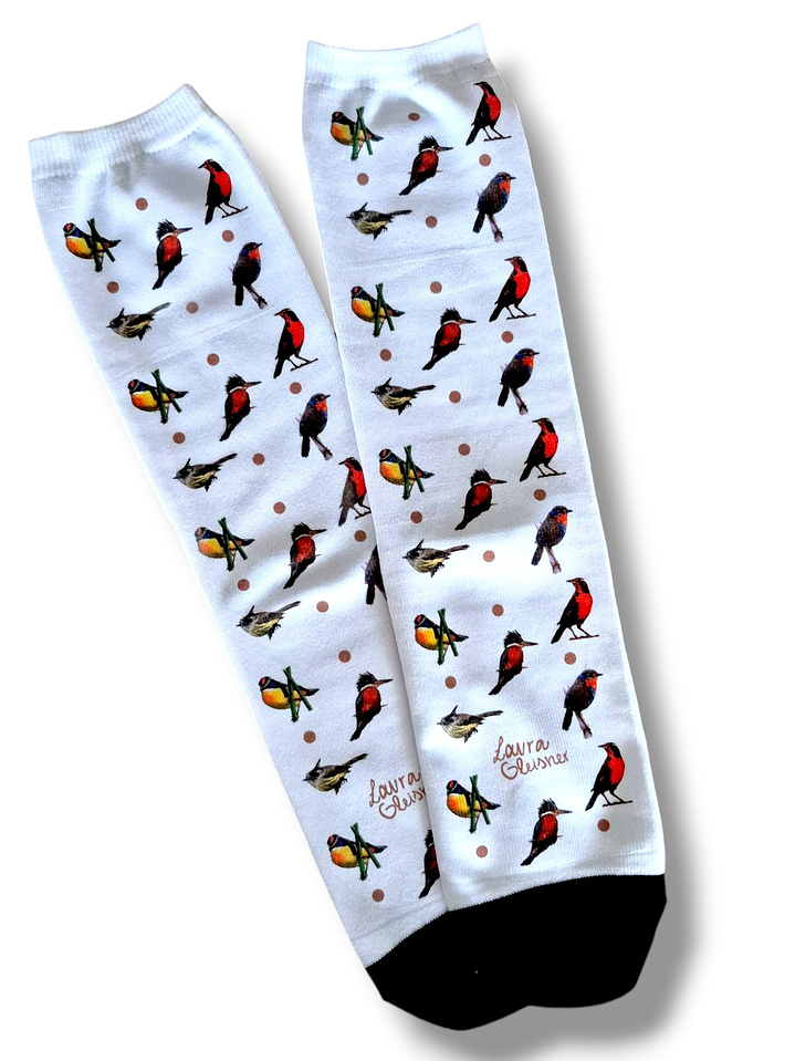 Calcetines Aves de Chile 40-44  2