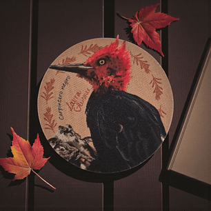 Posavaso Coleccionable Carpintero Negro 10x10cm.