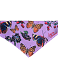 Bandana Perro Mariposas  - Miniatura 2
