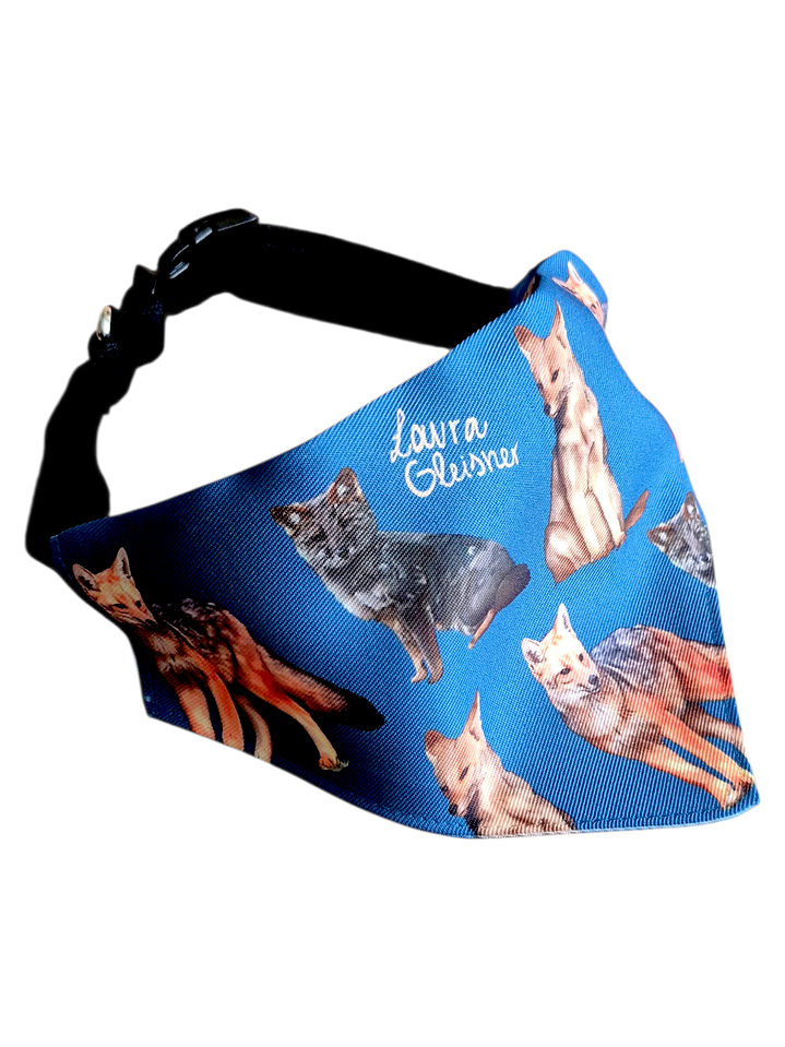 Bandana Perro Zorros 1